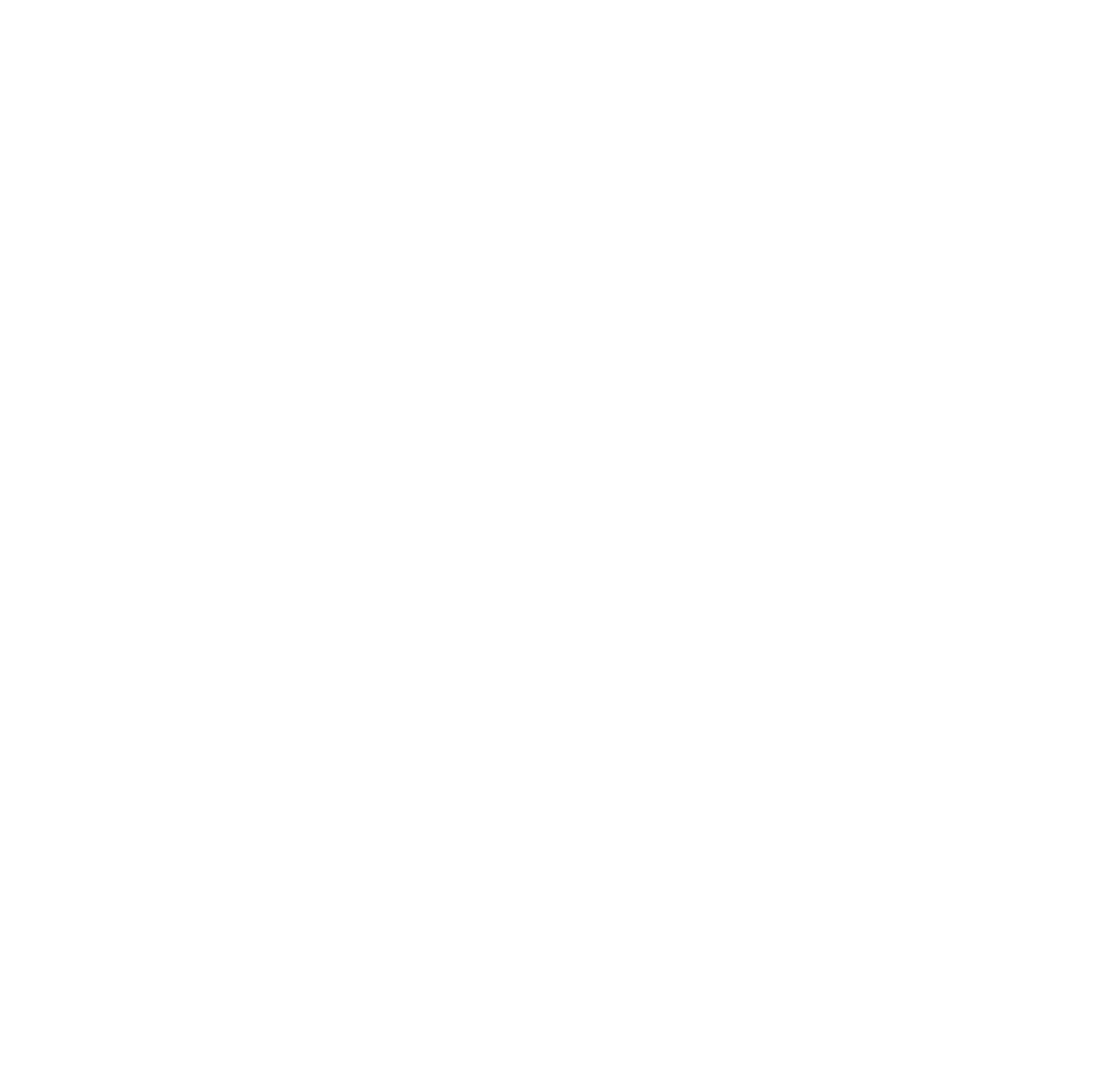 Forsolution logo